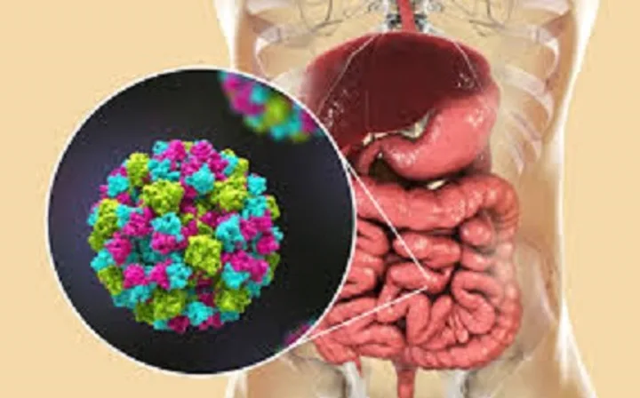 Alert: Norovirus enters high season!
