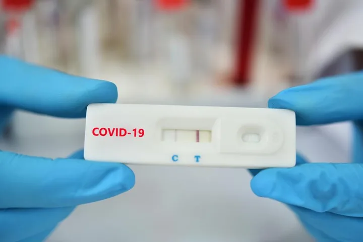 Rapid Test