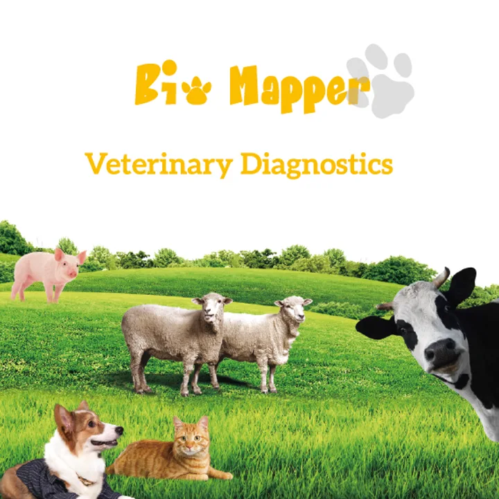 Veterinary Diagnostics Rapid Test