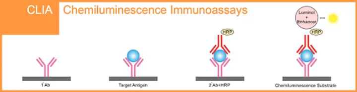 Classification of Common Chemiluminescence and Its Application in Clinical Testing