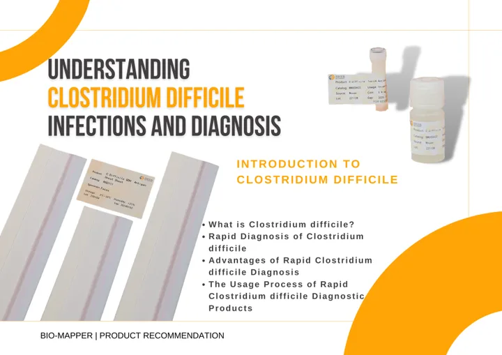 Understanding Clostridium Difficile Infections and Diagnosis
