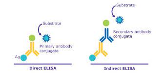 ELISA/CLIA - Bio-Mapper