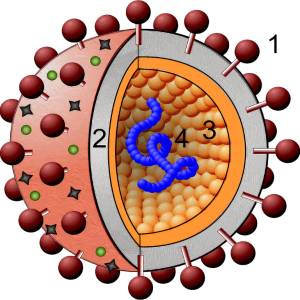 Bovine Viral Diarrhea Virus (BVDV) - Bio-Mapper