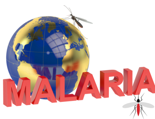 Malaria-World Initiative: Progress, Challenges and Future Directions